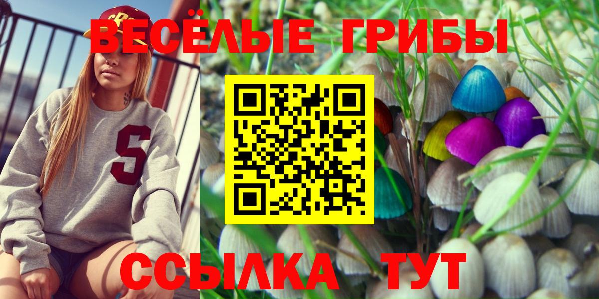 Псилоцибиновые грибы Magic Shrooms  Вход с VPN  Партизанск 
