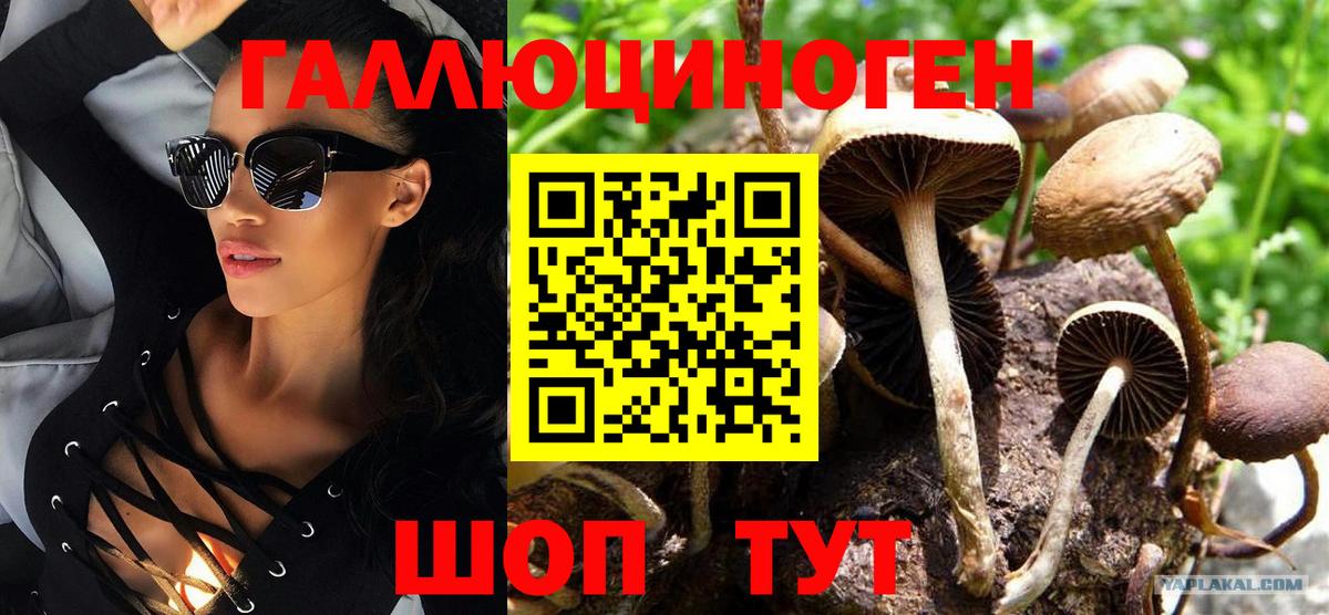 Псилоцибиновые грибы Magic Shrooms Партизанск
